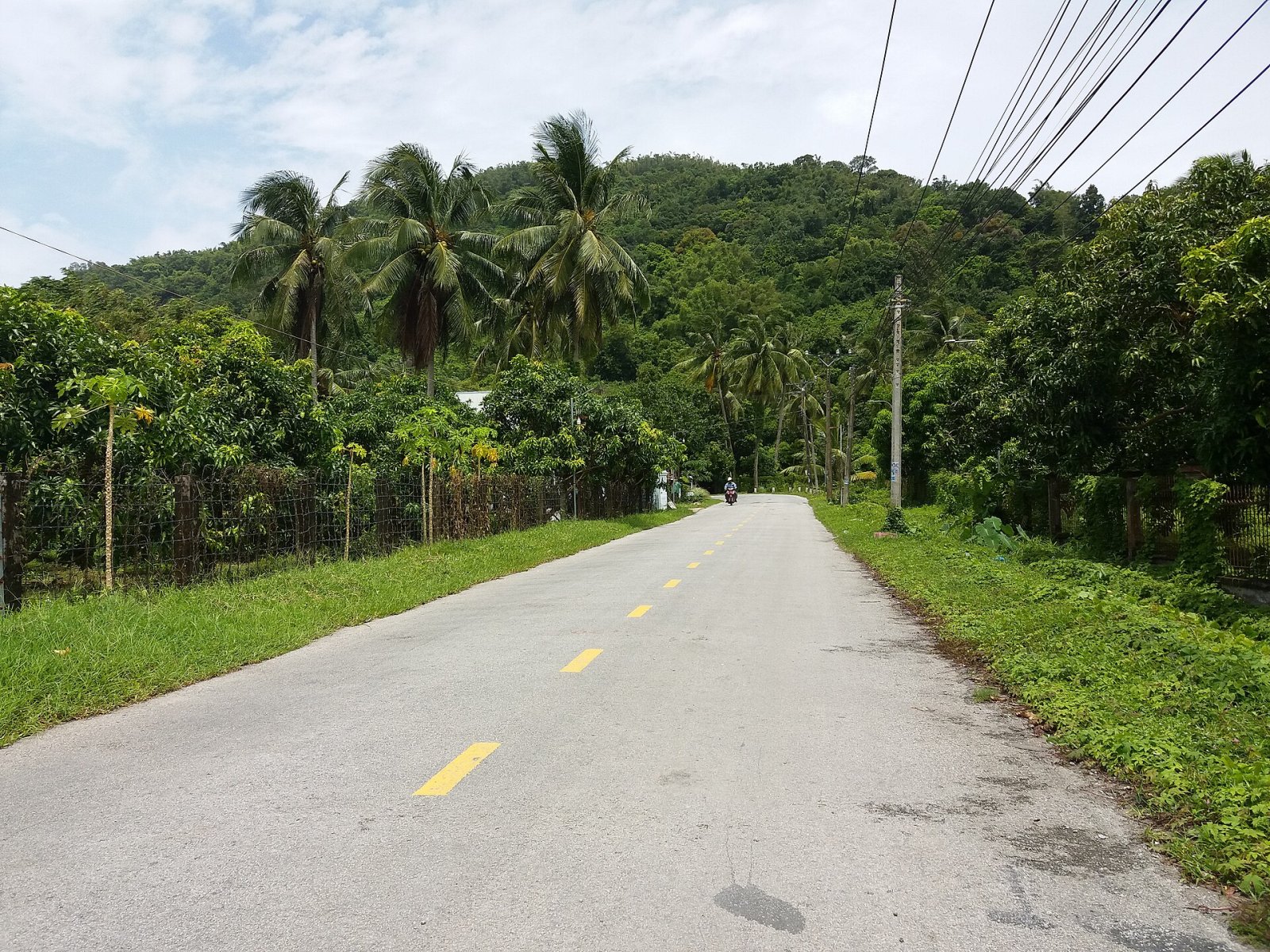 Discover Hòn Giang: A Corner of Untouched Nature in Vietnam - Hoai An | Secret World Trip Planner