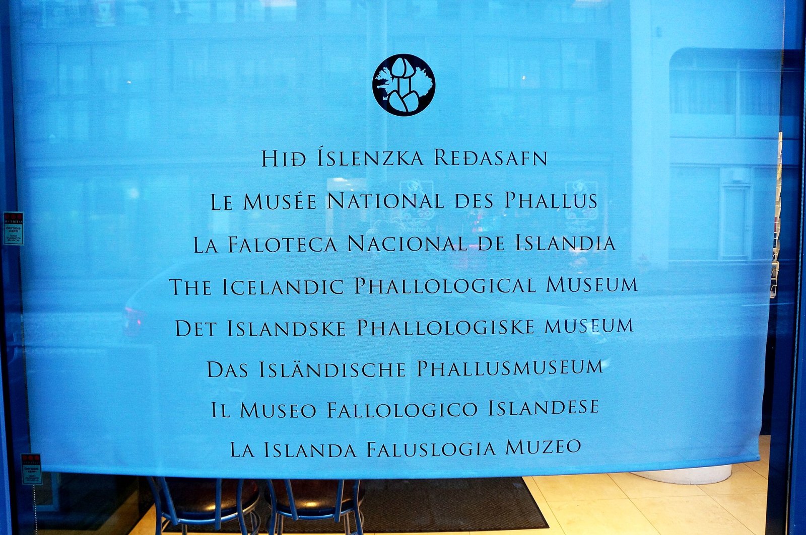 Visita al Museo Fallologico Islandese di Reykjavík - Reykjavík | Secret World Trip Planner