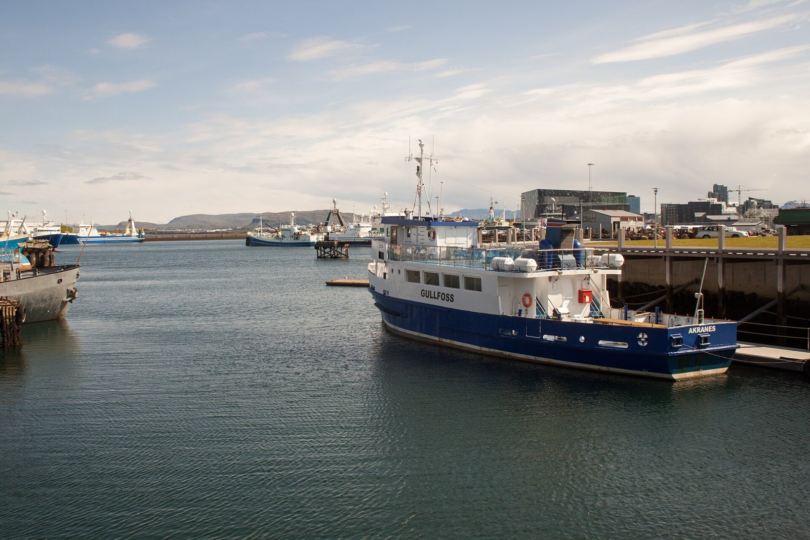 Découvrez Víkin : Le cœur sportif de Reykjavík - Reykjavík | Secret World Trip Planner