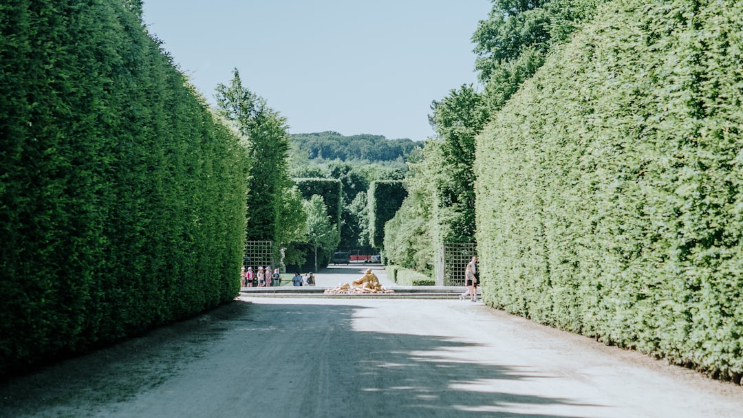 Giardini della Reggia di Versailles: un Paradiso Verde - Place d'Armes | Secret World Trip Planner