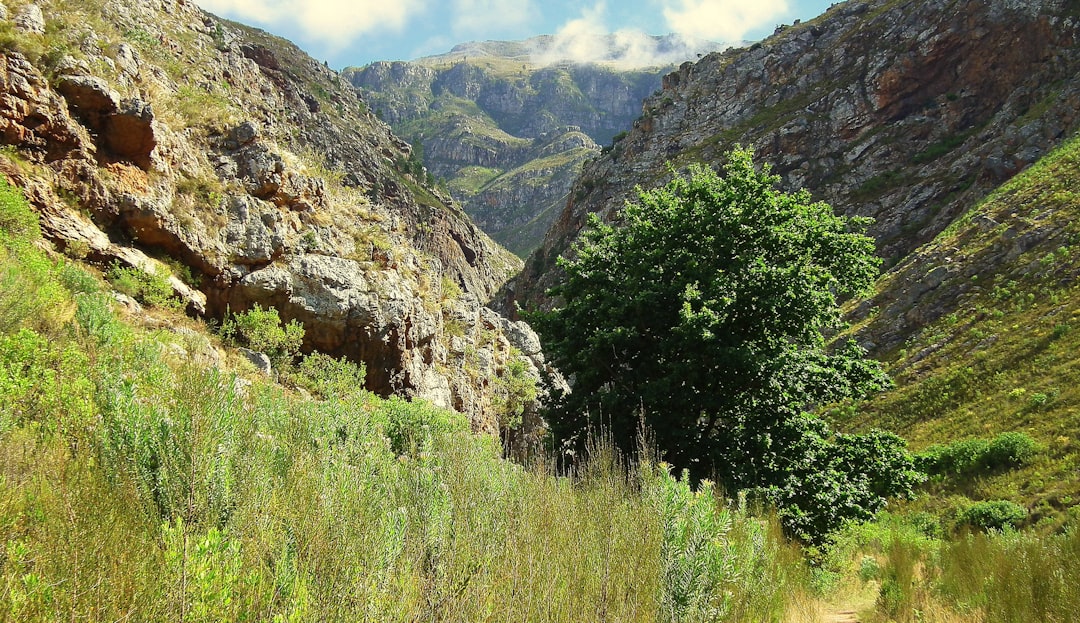 Descubre el Parque Nacional Sierra de las Minas - 59C5+5QM | Secret World Trip Planner