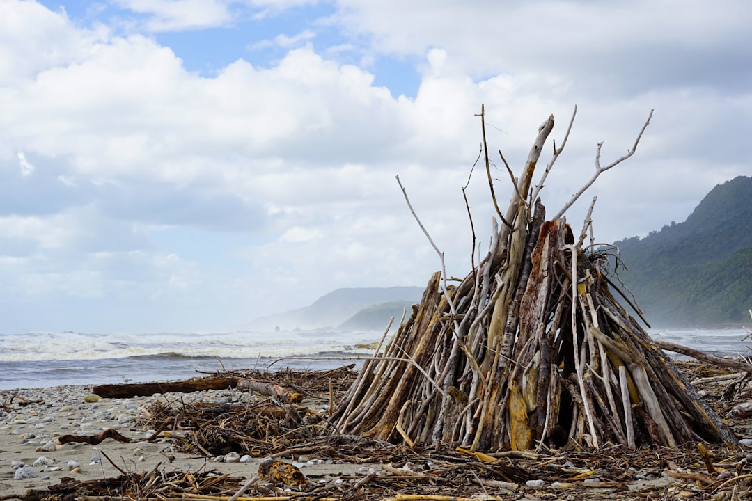 Découvrez Flotsam : le jeu vidéo qui transforme la culture néo-zélandaise - Waiheke Island | Secret World Trip Planner