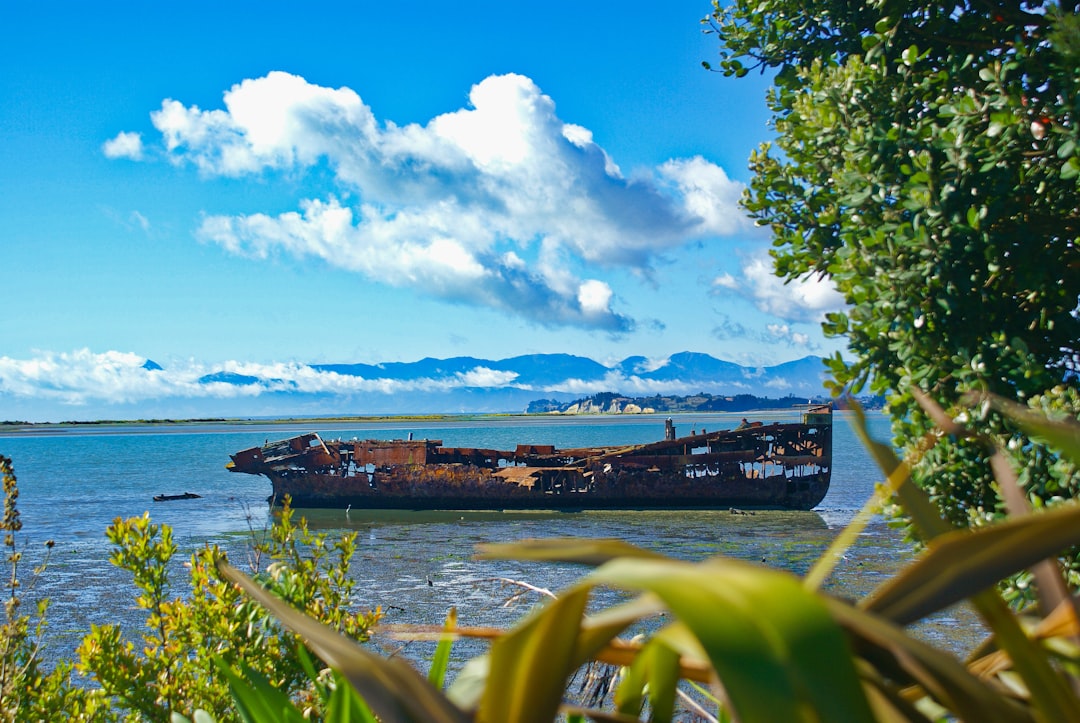 Scoprire Ship's Grab: Un'icona culturale di Auckland — Auckland