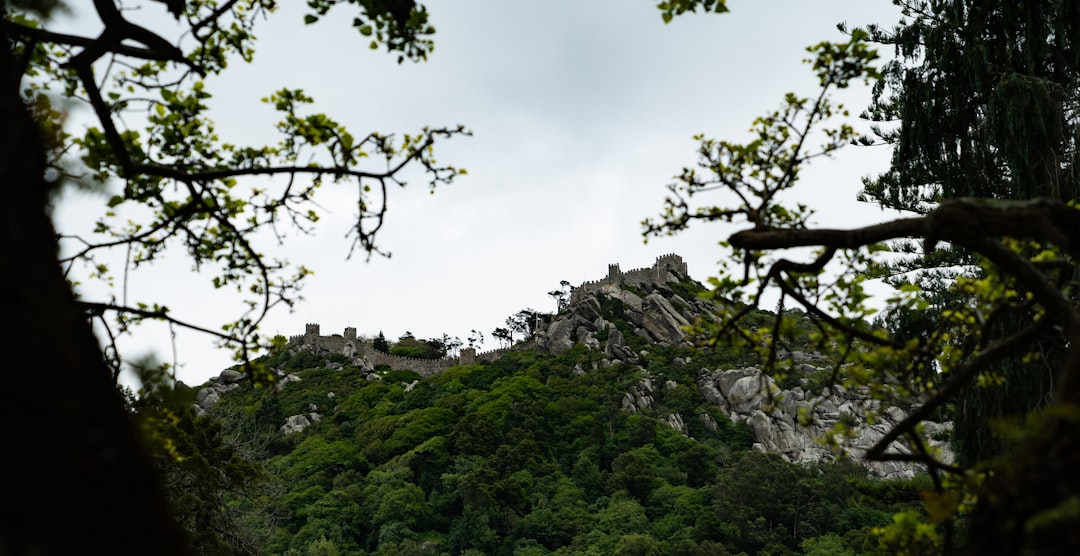 Entdeckung des Castelo dos Mouros: Ein versteckter Schatz - 2710-405 Sintra | Secret World Trip Planner