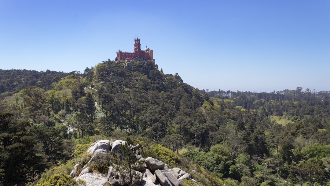 Entdeckung des Castelo dos Mouros: Ein versteckter Schatz - 2710-405 Sintra | Secret World Trip Planner