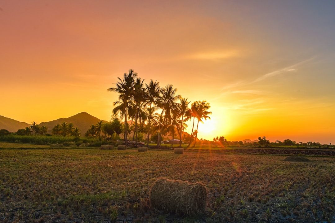 Impresionantes atardeceres en Sunrise Land Lombok - East Lombok Regency | Secret World Trip Planner