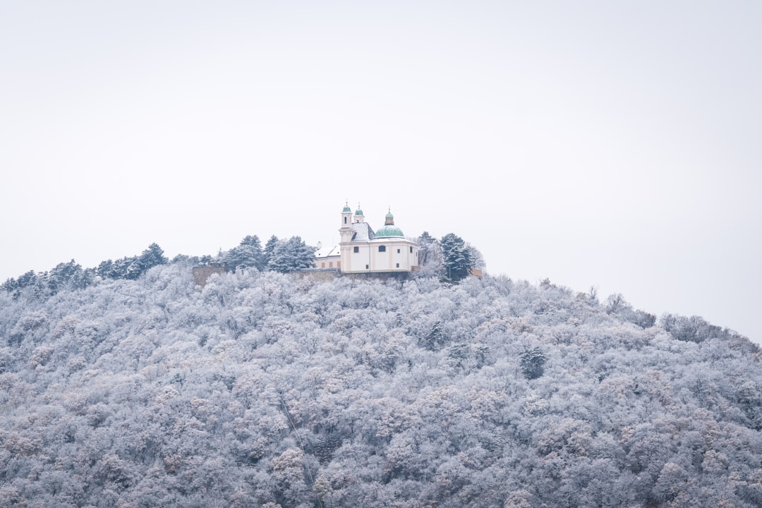 Alternativas a Wanderlog 2026: Mejores Opciones para Viena — Vienna