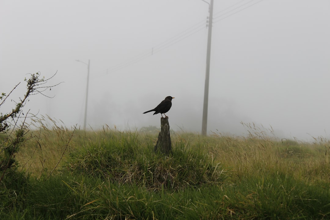 Turrialba: Der aktive Vulkan in Costa Rica - Provincia di Cartago | Secret World Trip Planner