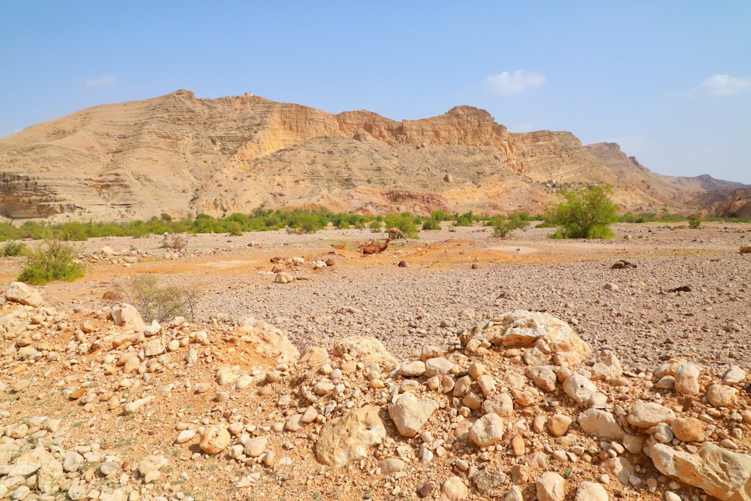 Wadi Bani Khalid: Die natürlichen Pools im Oman - Wadi Bani Khalid | Secret World Trip Planner