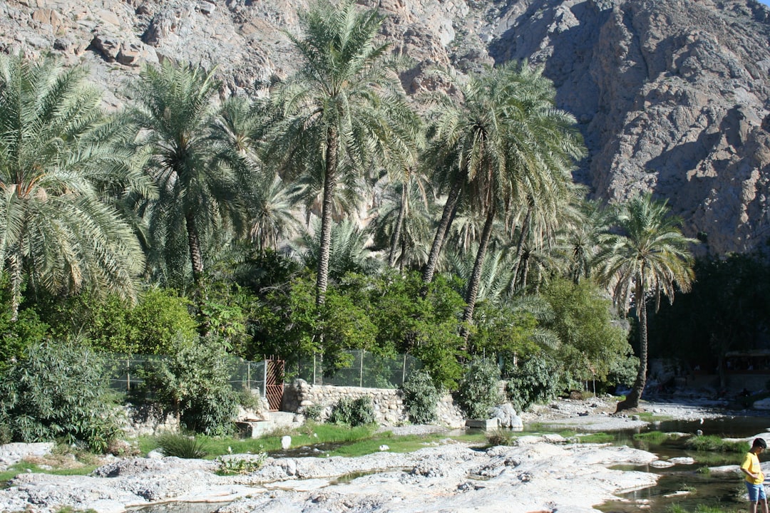 Wadi Bani Khalid : les piscines naturelles d'Oman - Wadi Bani Khalid | Secret World Trip Planner