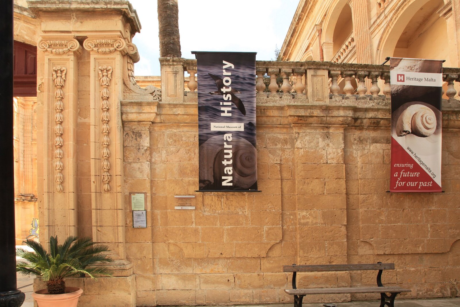 探索马耳他姆迪纳国家自然历史博物馆 - Mdina Rd | Secret World Trip Planner