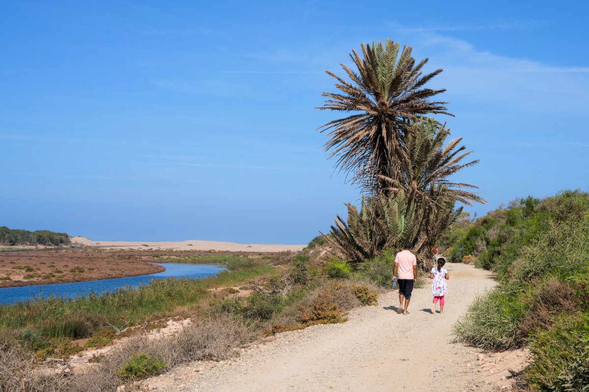 Souss Massa National Park: Wild Nature in Morocco - Sidi Binzarne | Secret World Trip Planner