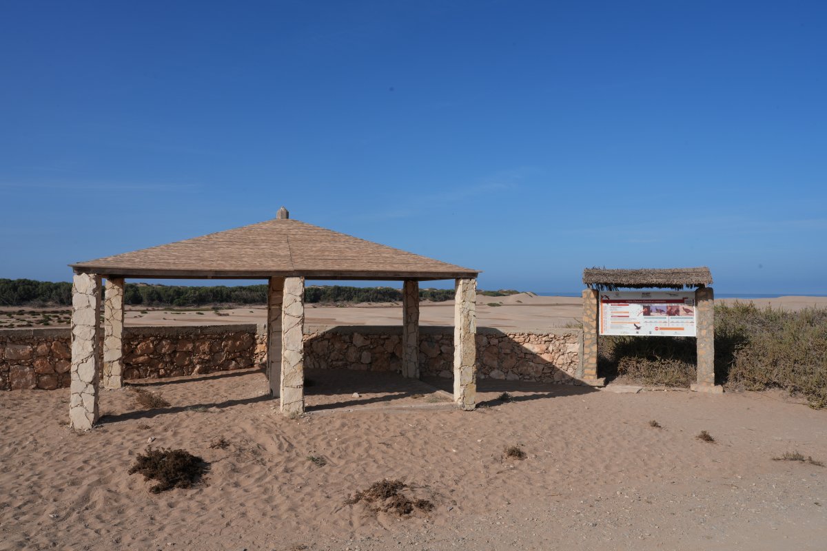 Parque Nacional Souss Massa: naturaleza salvaje en Marruecos - Sidi Binzarne | Secret World Trip Planner