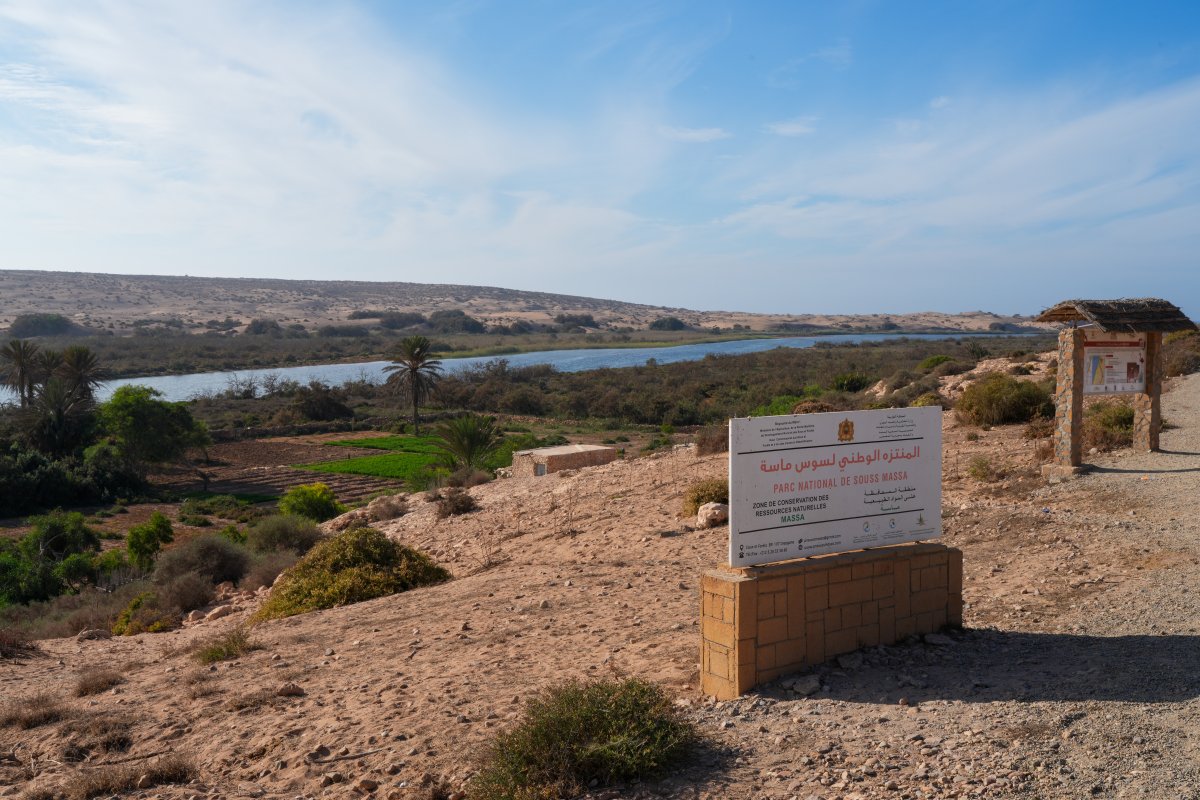 Parque Nacional Souss Massa: naturaleza salvaje en Marruecos - Sidi Binzarne | Secret World Trip Planner