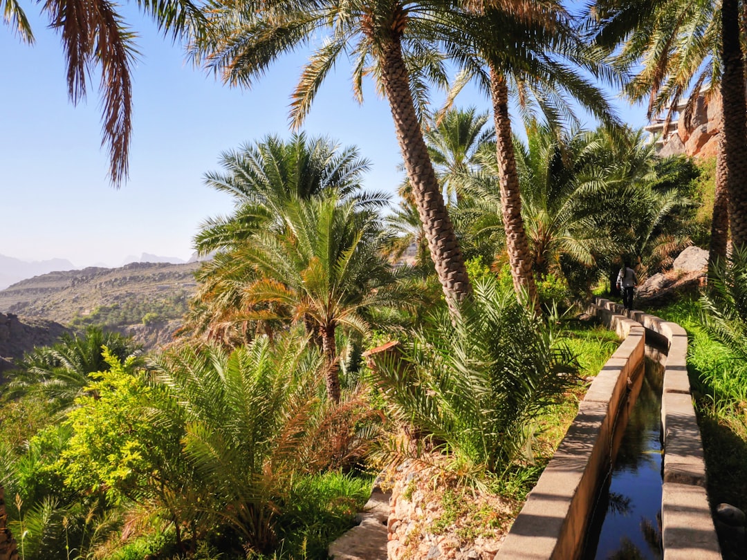 Misfah al Abriyyin: Das Felsdorf im Oman — Misfah al Abriyyin