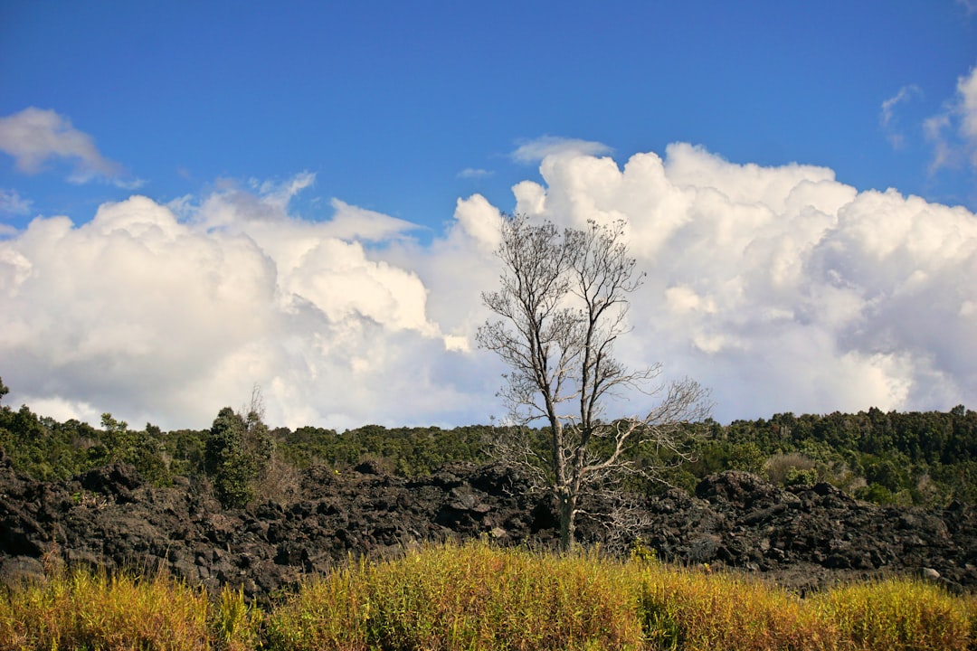 Parque Nacional de Volcanes: trekking con gorilas en Ruanda - NM 222 Street | Secret World Trip Planner