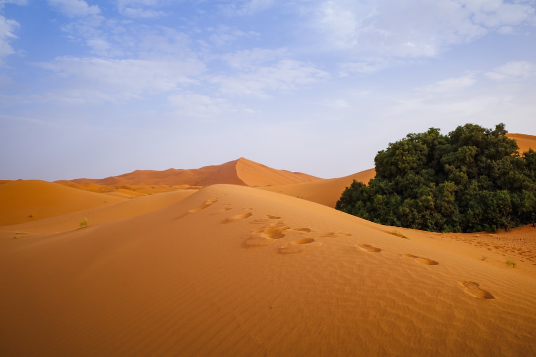 Erg Chebbi: las dunas naranjas del Sahara - 423P+F6 | Secret World Trip Planner