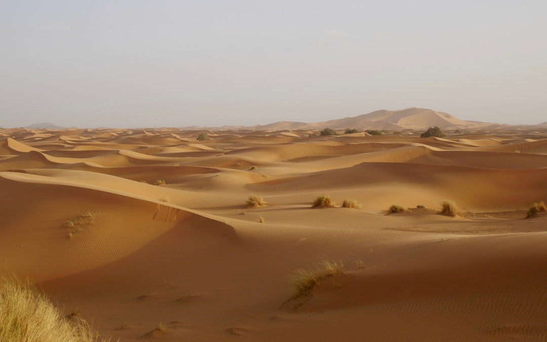 Erg Chebbi: as dunas laranja do Saara marroquino - 423P+F6 | Secret World Trip Planner
