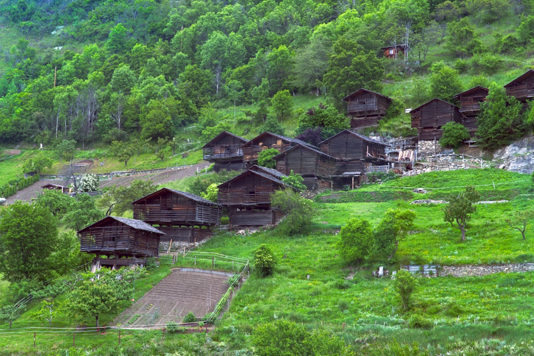 Vardzia: la città rupestre medievale della Georgia - 97JM+CMH | Secret World Trip Planner