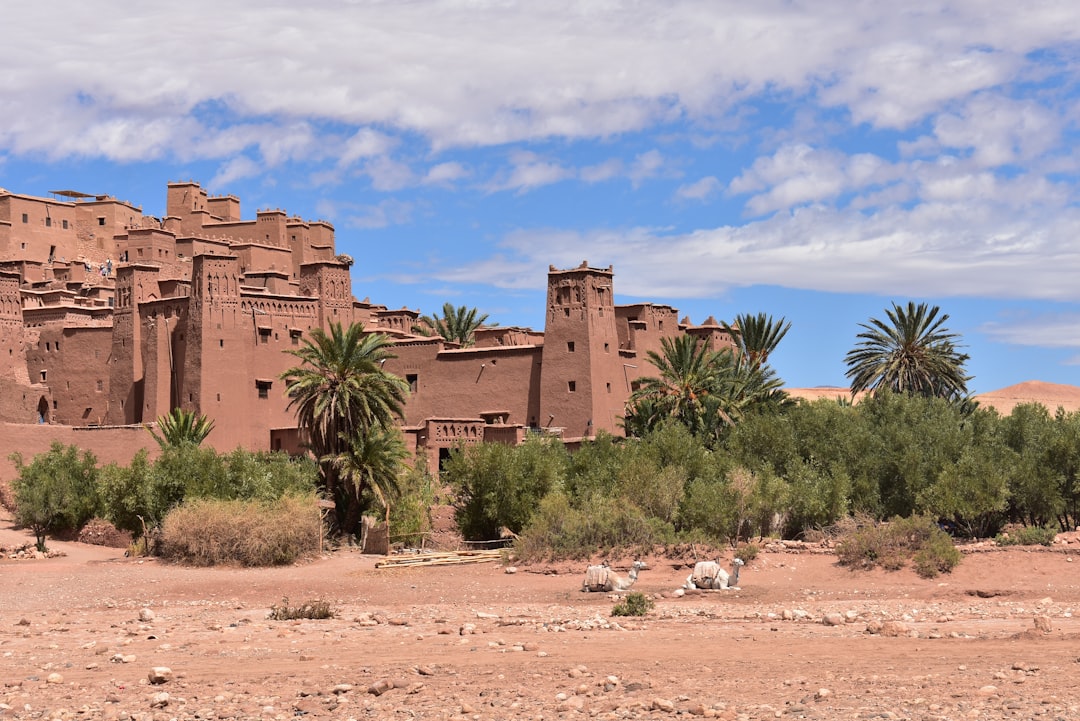 Discovering the Mosque in Morocco: A Journey into Islamic Culture - 5JMM+9R7 | Secret World Trip Planner