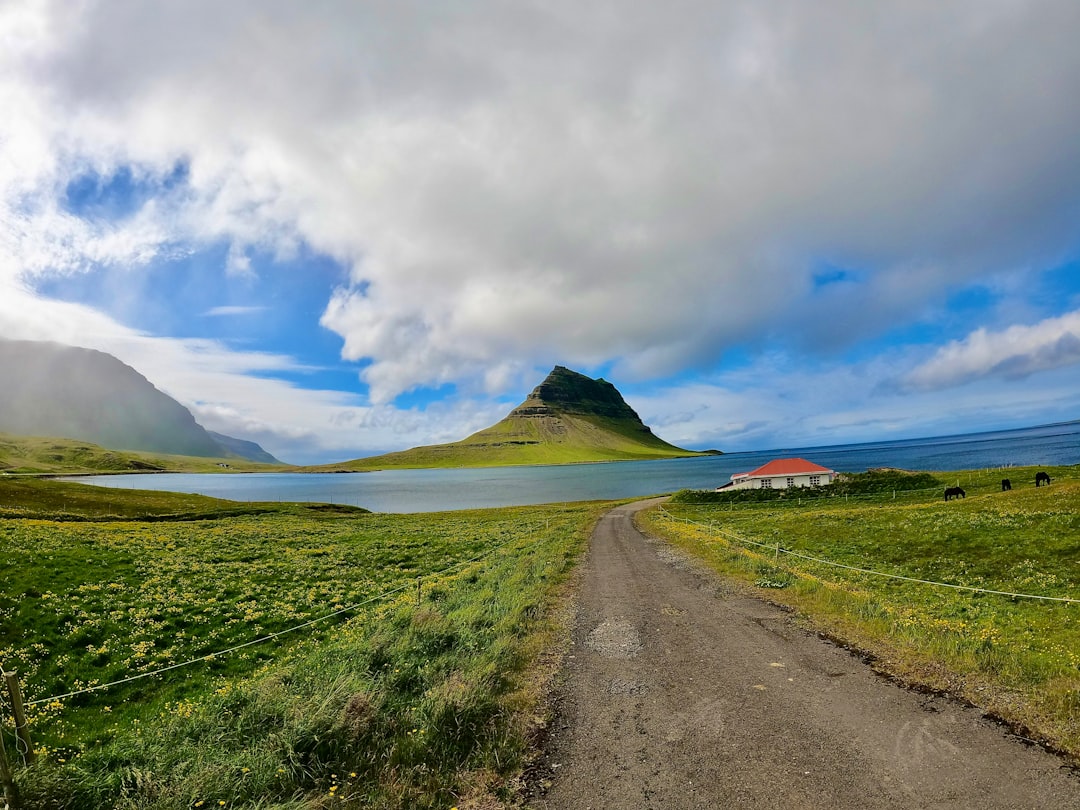 Descubre Vatnsnes: un rincón salvaje de Islandia - Keflavík | Secret World Trip Planner