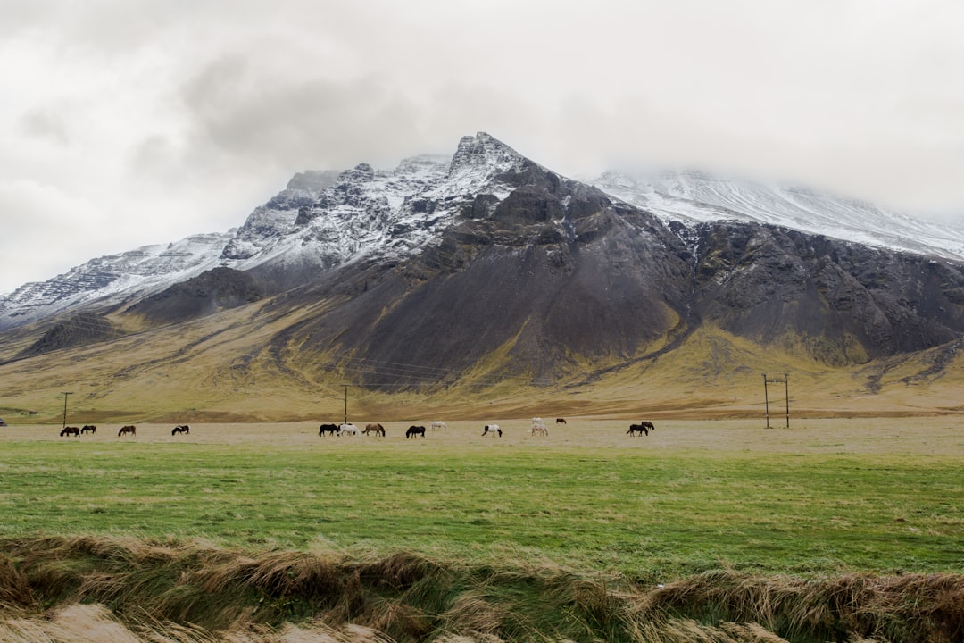 Höskuldsey: A Natural Gem in Iceland to Discover | Secret World Trip Planner