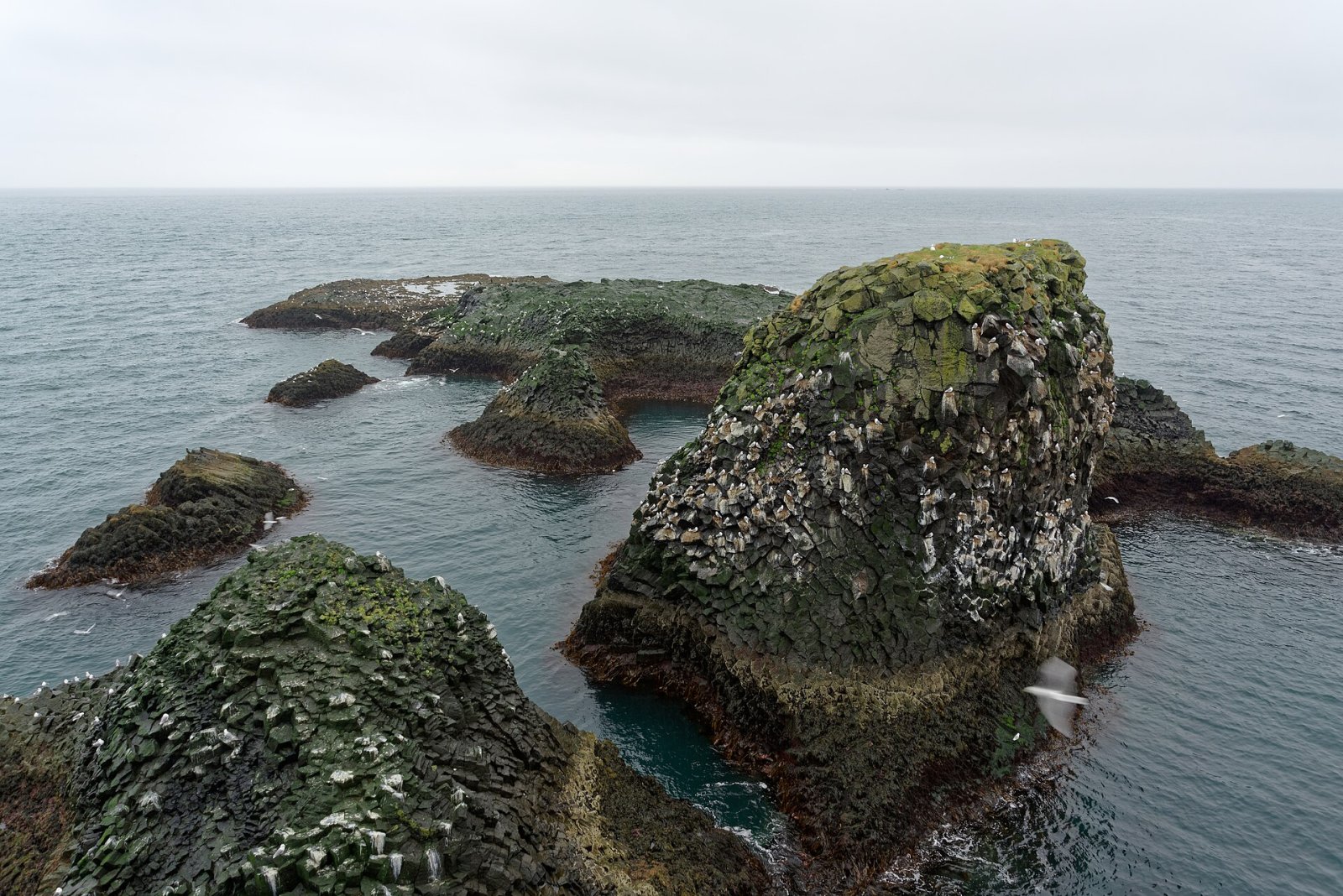 Arnarstapi: una joya escondida de Islandia - Arnarstapi | Secret World Trip Planner
