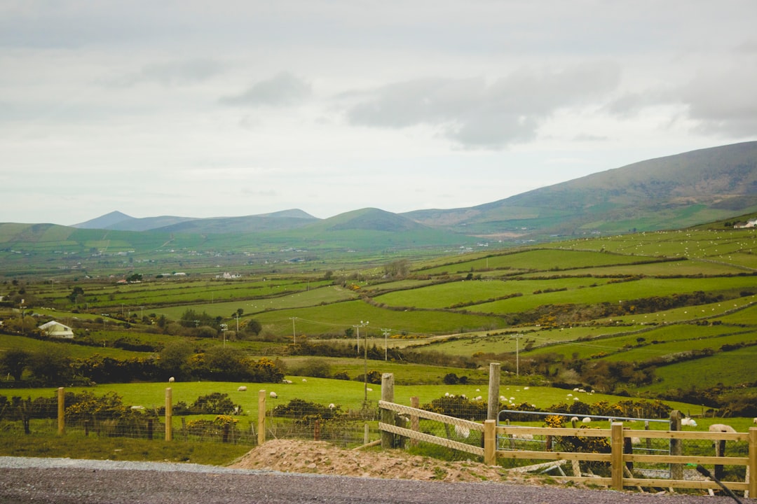 Scopri Slievecoiltia: un angolo di Irlanda da non perdere - Slievecoiltia Commons | Secret World Trip Planner