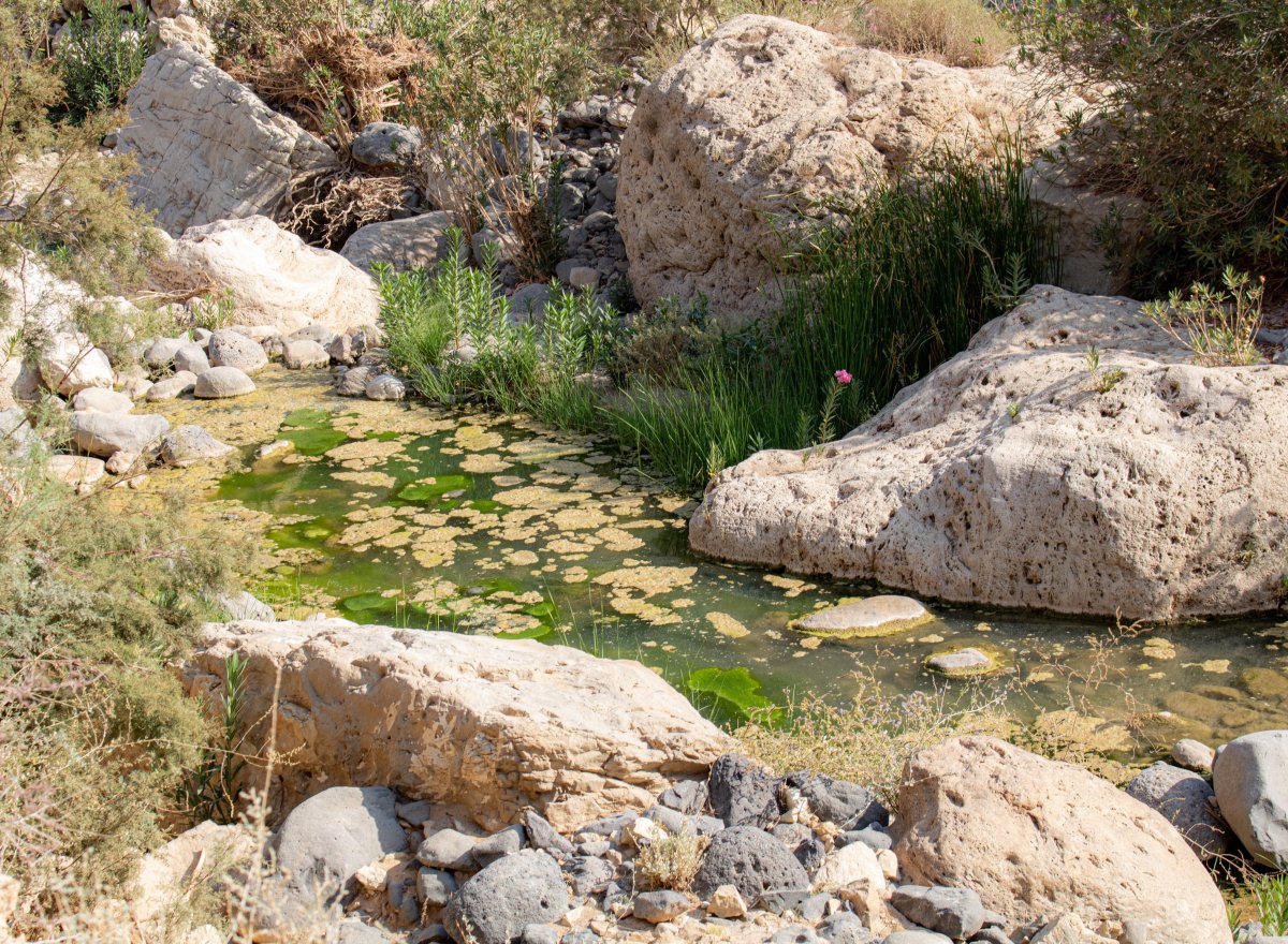 Wadi al Mujib : le canyon le plus profond de Jordanie — Wadi al Mujib