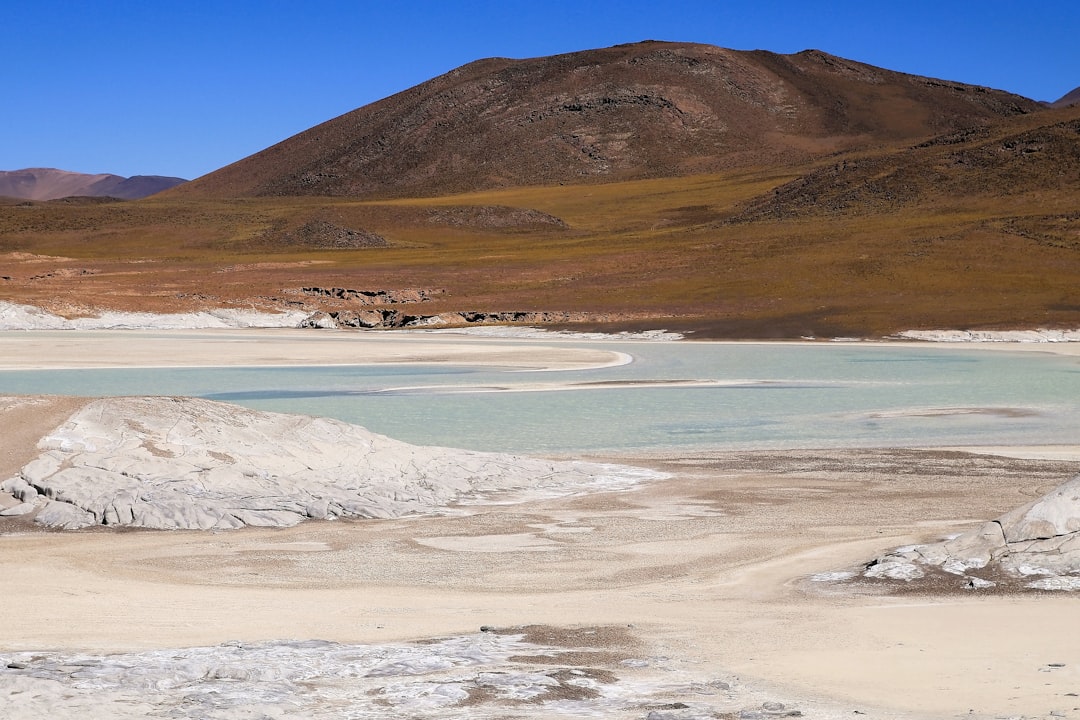 Saline Aguada Blanca : faune sauvage en altitude - Reserva Nacional de Salinas y Aguada Blanca | Secret World Trip Planner