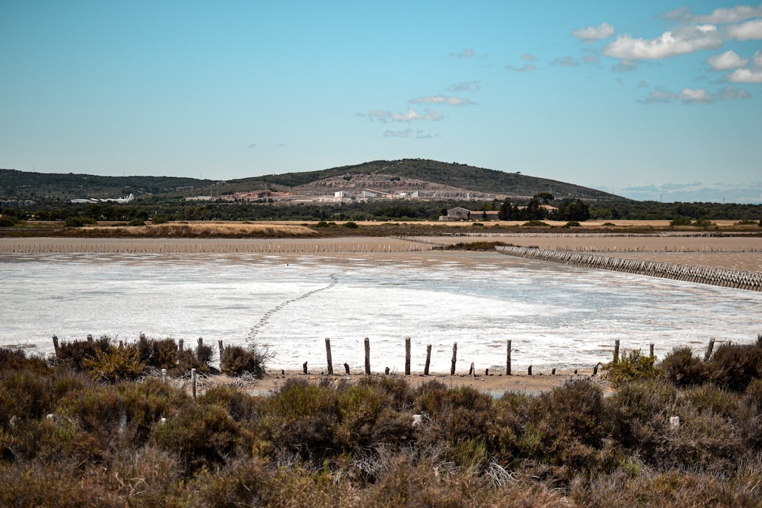 Saline Aguada Blanca: fauna salvaje en gran altitud - Reserva Nacional de Salinas y Aguada Blanca | Secret World Trip Planner
