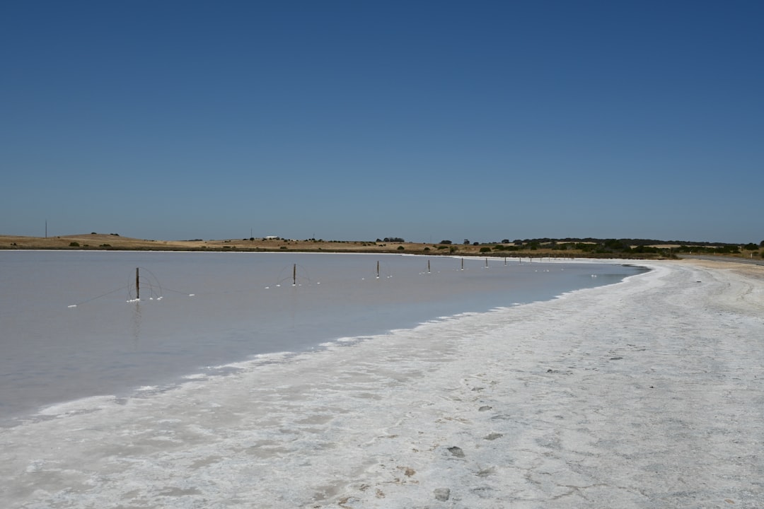 Saline Aguada Blanca: fauna salvaje en gran altitud - Reserva Nacional de Salinas y Aguada Blanca | Secret World Trip Planner