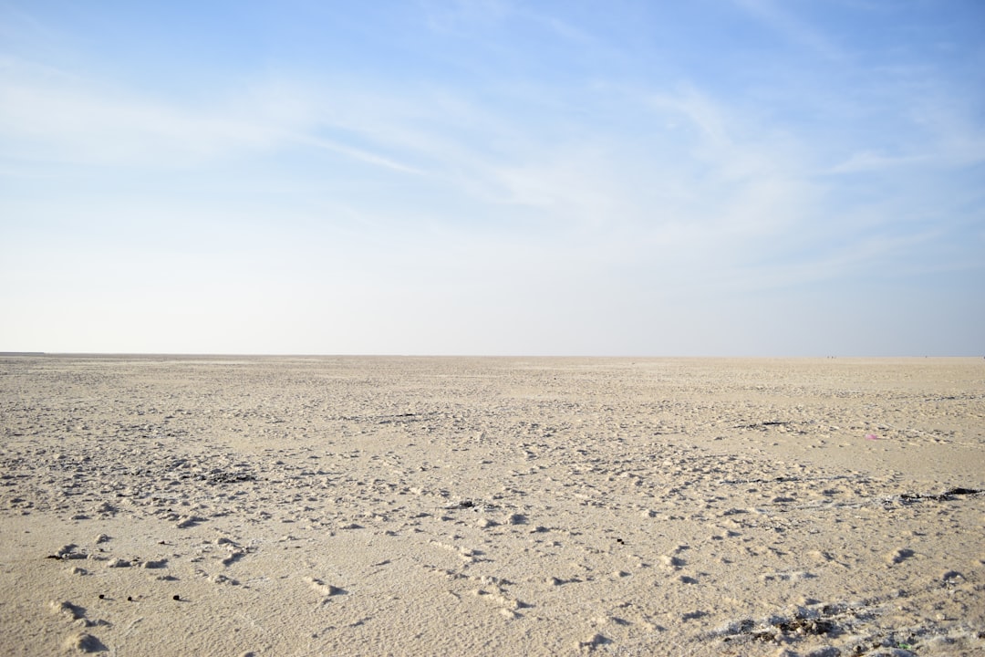 Rann de Kutch : le désert blanc du Gujarat - Dhordo | Secret World Trip Planner
