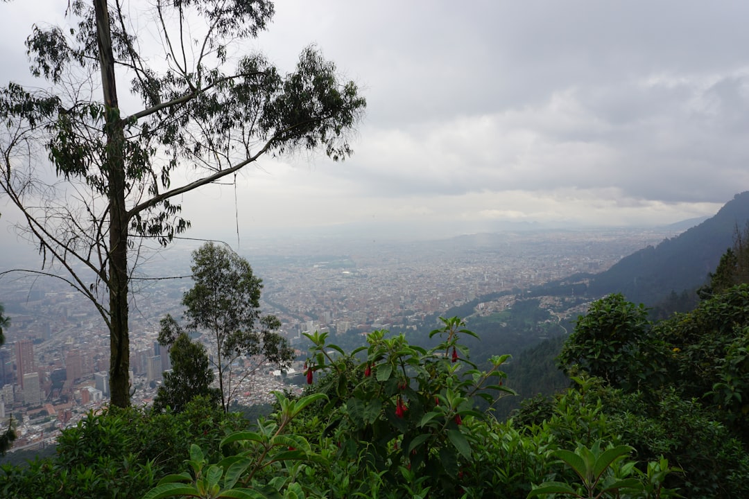 Jardin Botanique de Bogotá : un poumon vert andin - Ac 63 #68-95 | Secret World Trip Planner