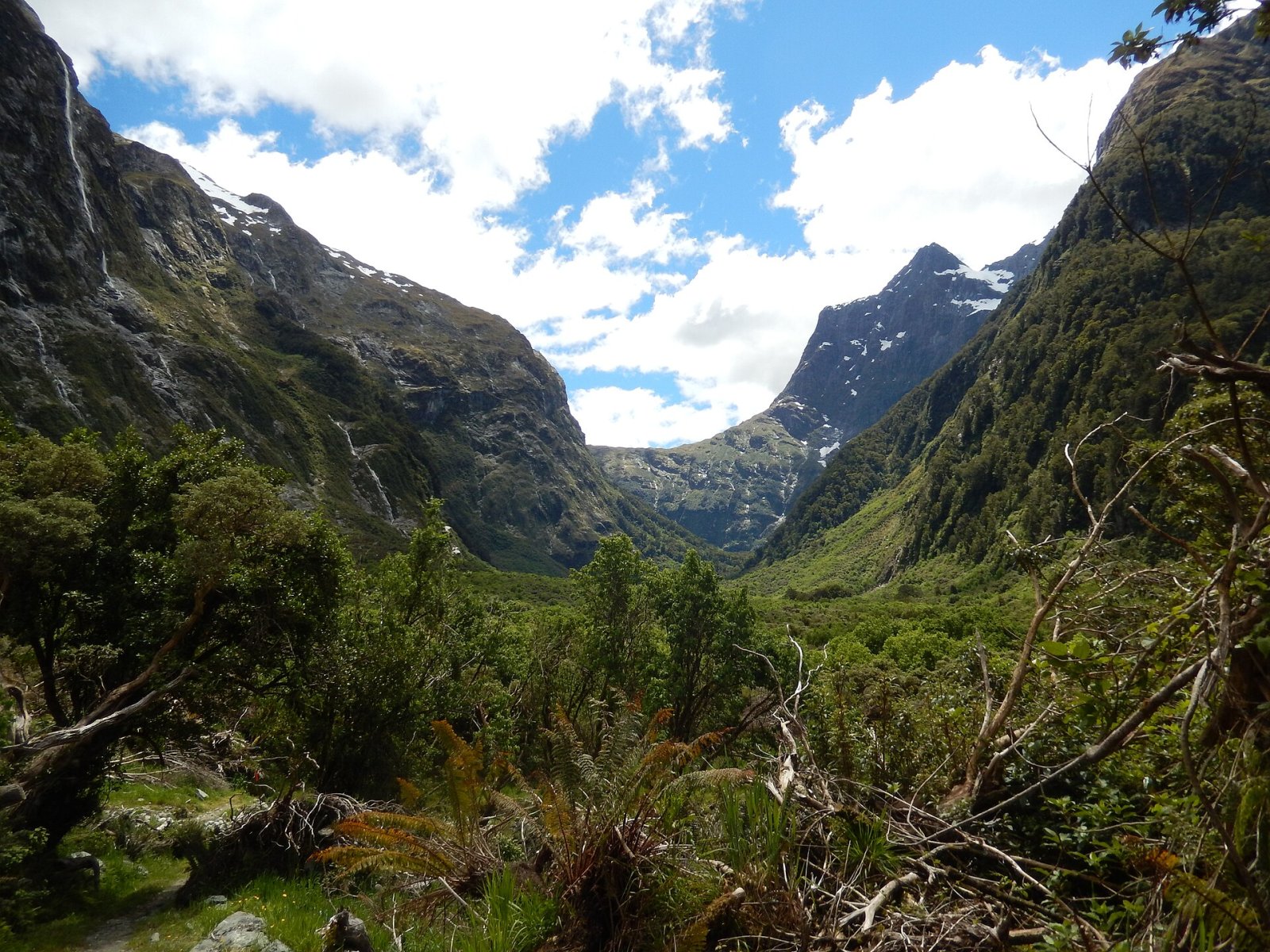 Откройте для себя очарование Оманаи / перевала Макиннон в Новой Зеландии - Fiordland National Park | Secret World Trip Planner