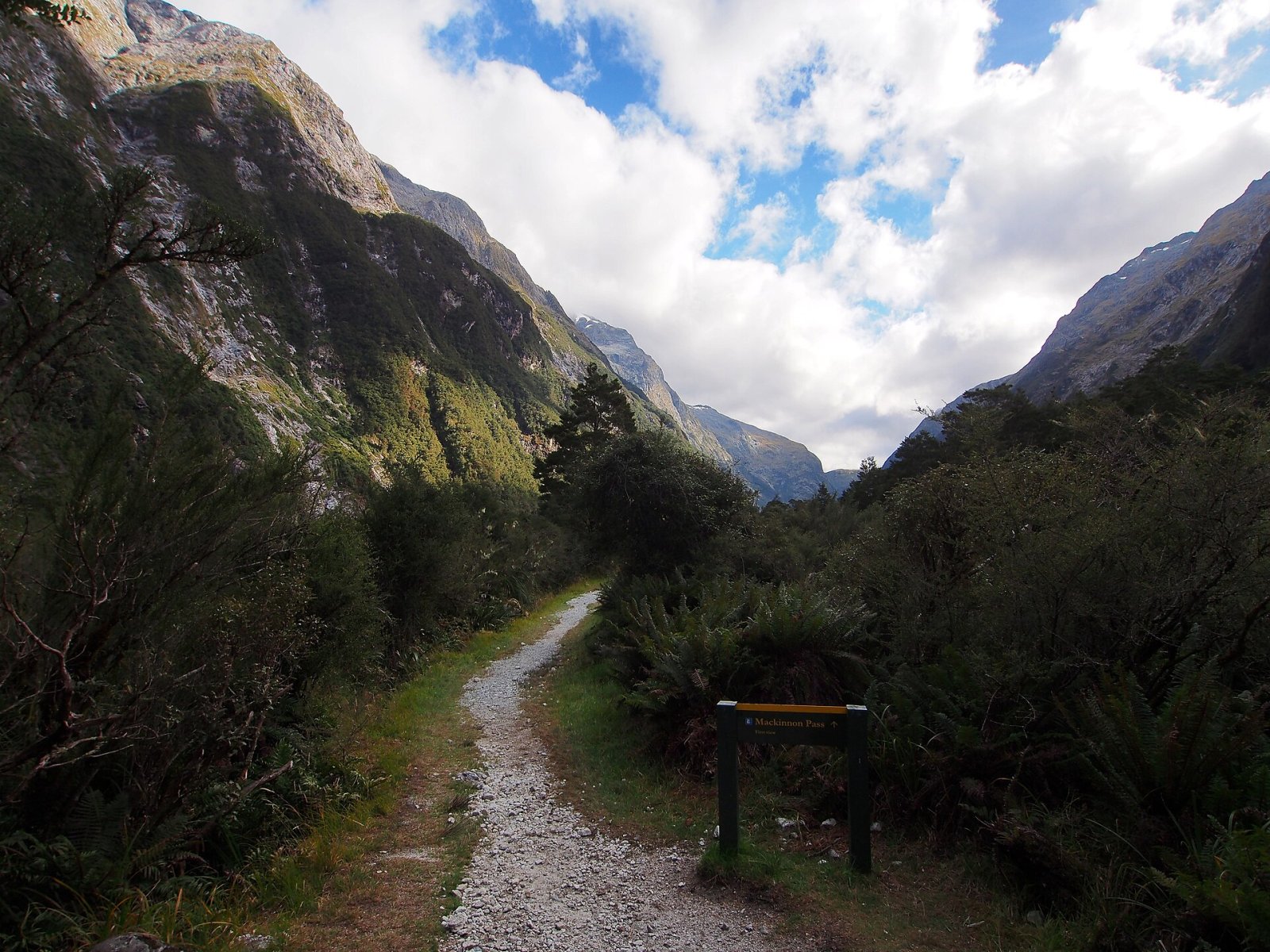 오마누이 / 맥키논 패스의 매력을 발견하세요 - Fiordland National Park | Secret World Trip Planner