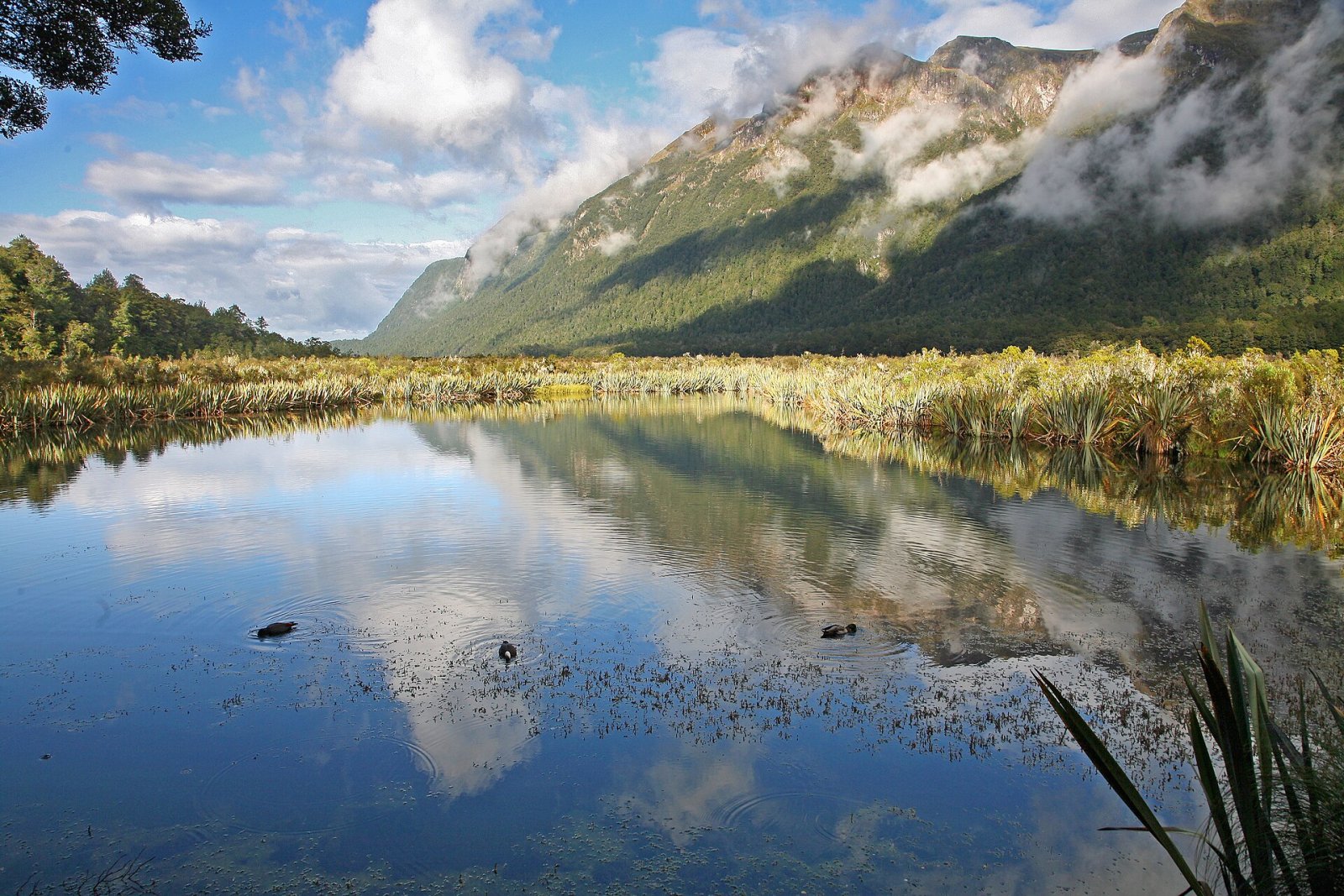 Mirror Lakes: The Magic of New Zealand's Reflective Lakes — Mavora