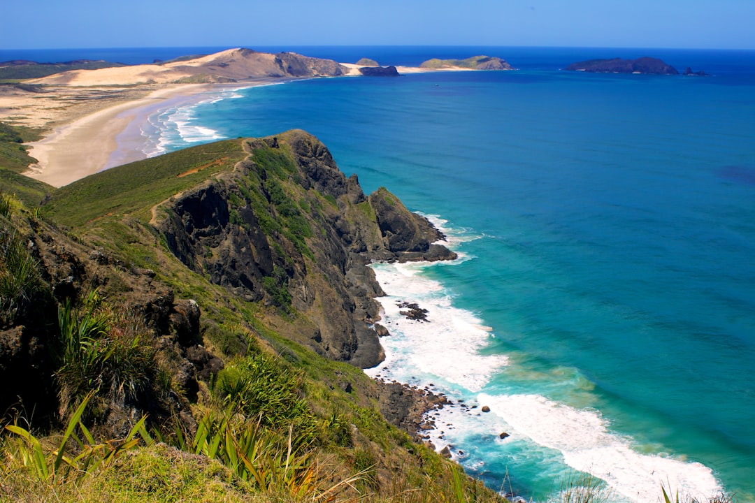 Cape Farewell: Wunder Neuseelands — Pūponga