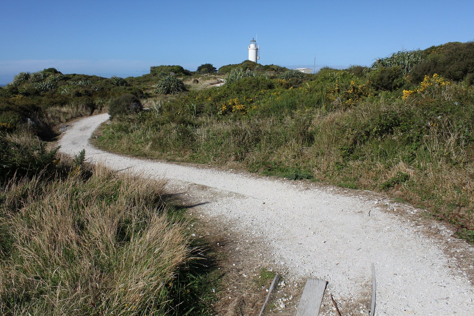 Cape Foulwind: A Gem on New Zealand's West Coast — Cape Foulwind