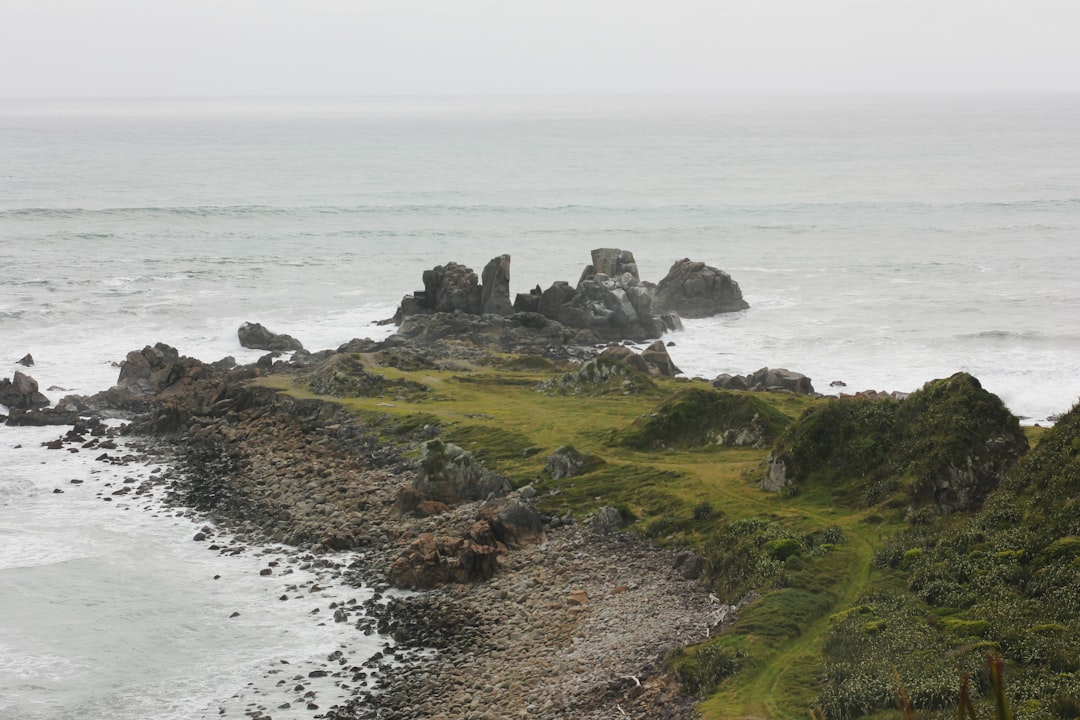 Cape Foulwind: A Gem on New Zealand's West Coast - Cape Foulwind | Secret World Trip Planner