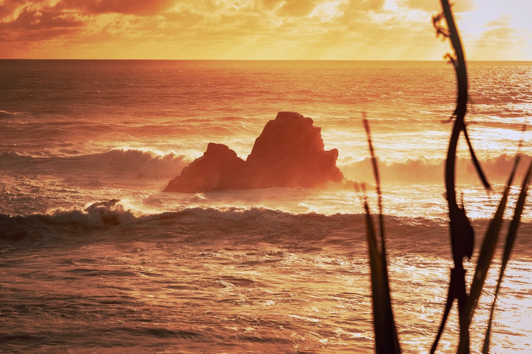Cape Foulwind: A Gem on New Zealand's West Coast - Cape Foulwind | Secret World Trip Planner