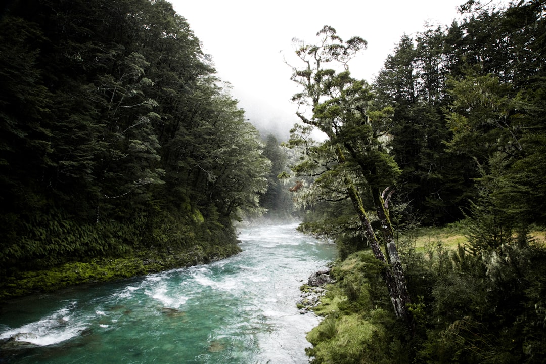 Scopri le Silica Rapids: un gioiello della Nuova Zelanda - Waimarino | Secret World Trip Planner
