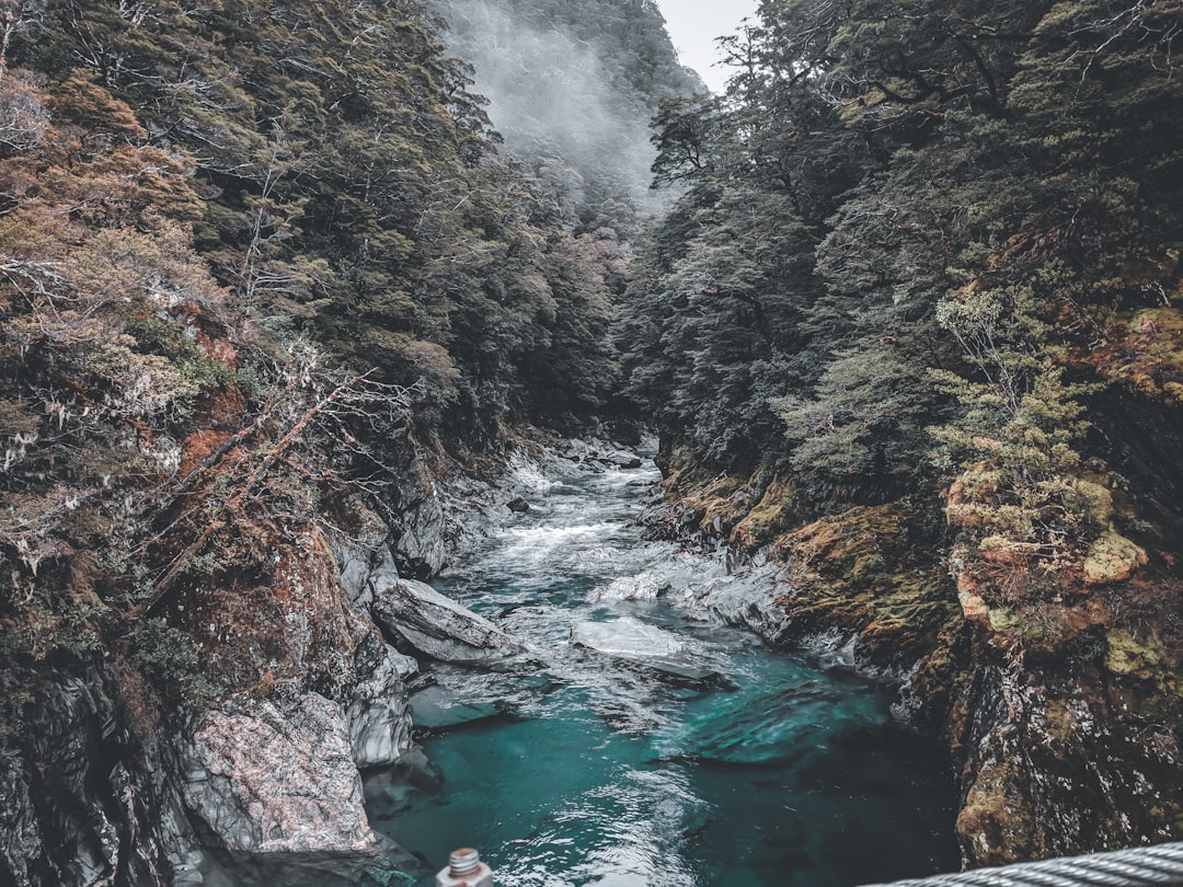Discover The Chasm: A Hidden Gem in New Zealand - Milford Sound | Secret World Trip Planner