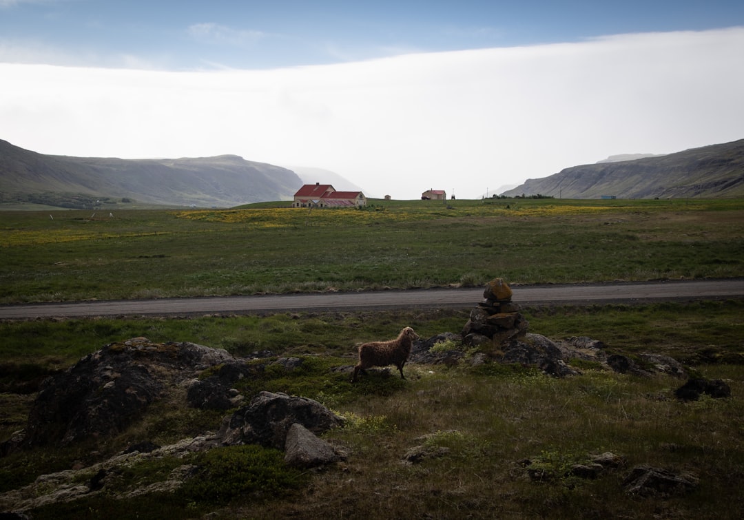 Descubriendo Þorsteinn Erlingsson: el poeta islandés de la naturaleza y la crítica social - Reykjavík | Secret World Trip Planner