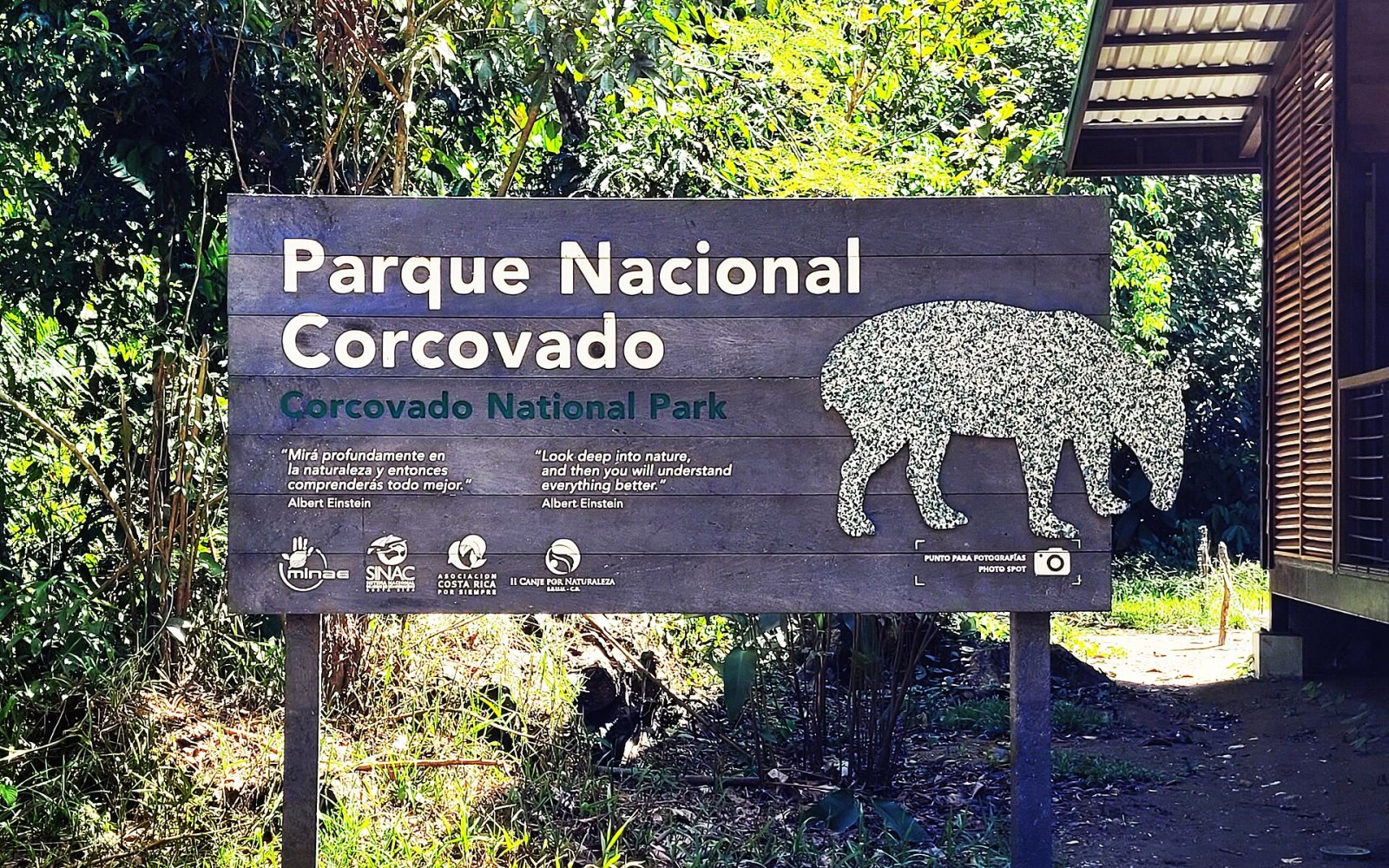 Scopri il Parco Nazionale Corcovado: un gioiello della biodiversità — Puerto Jiménez