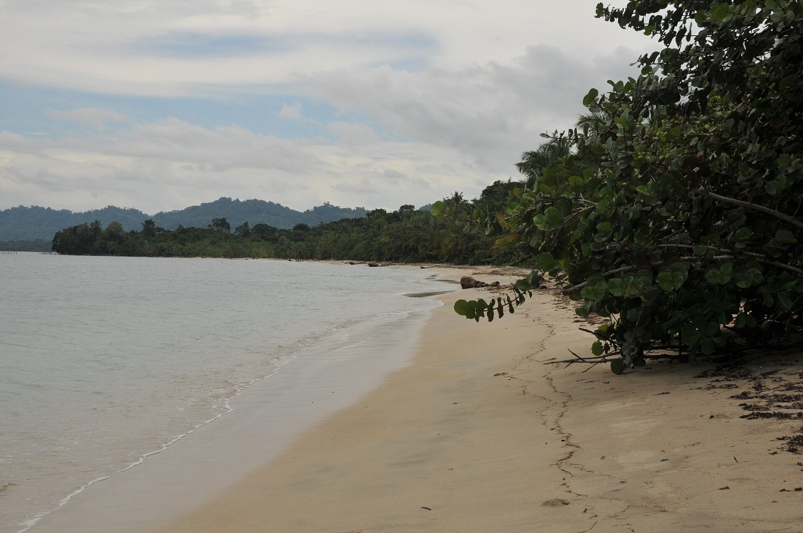 Entdecken Sie Punta Uva: Ein Tropenparadies in Costa Rica — Punta Uva