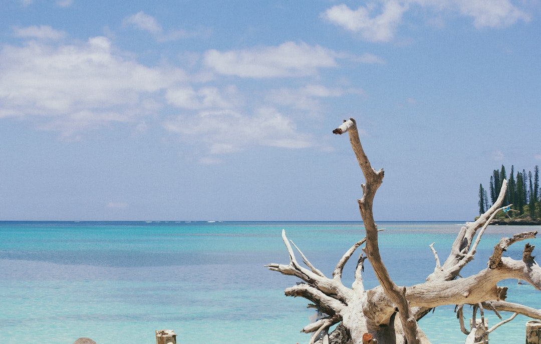Lifou: la isla de aguas cristalinas y coralinas - Lifou | Secret World Trip Planner