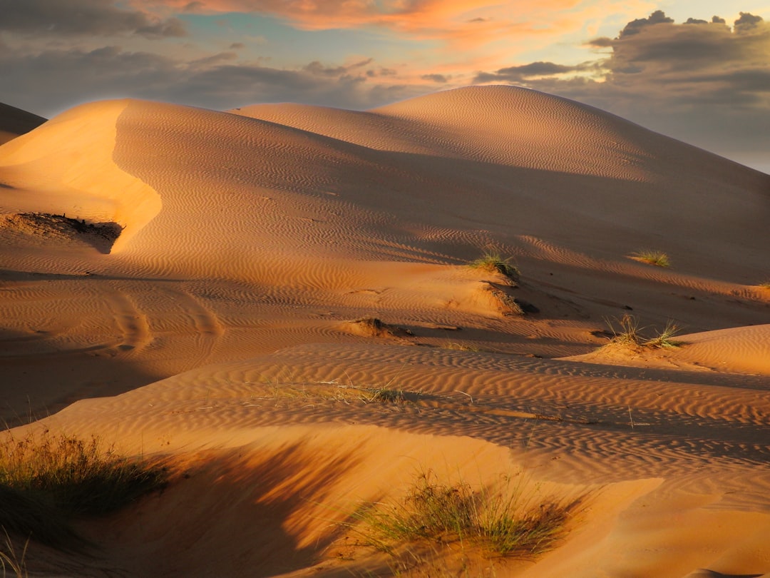 Rub' al-Khali : le plus grand désert du monde | Secret World Trip Planner