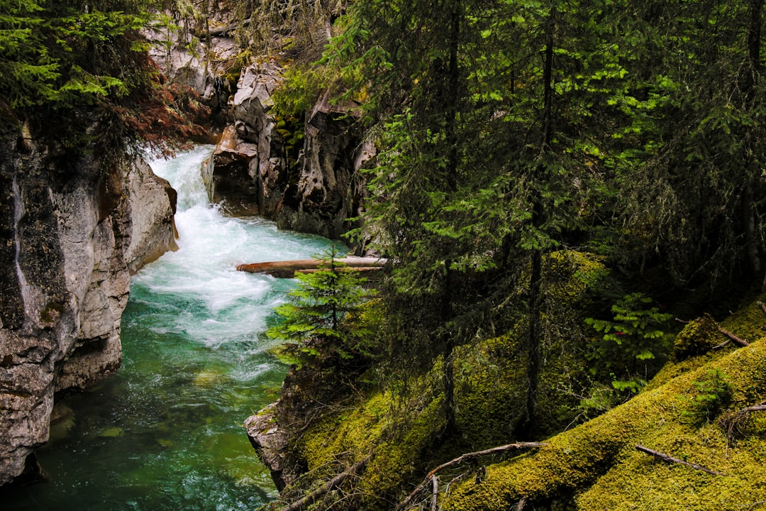 Canyon Johnston : cascades et canyon dans les Rocheuses - Improvement District No. 9 | Secret World Trip Planner
