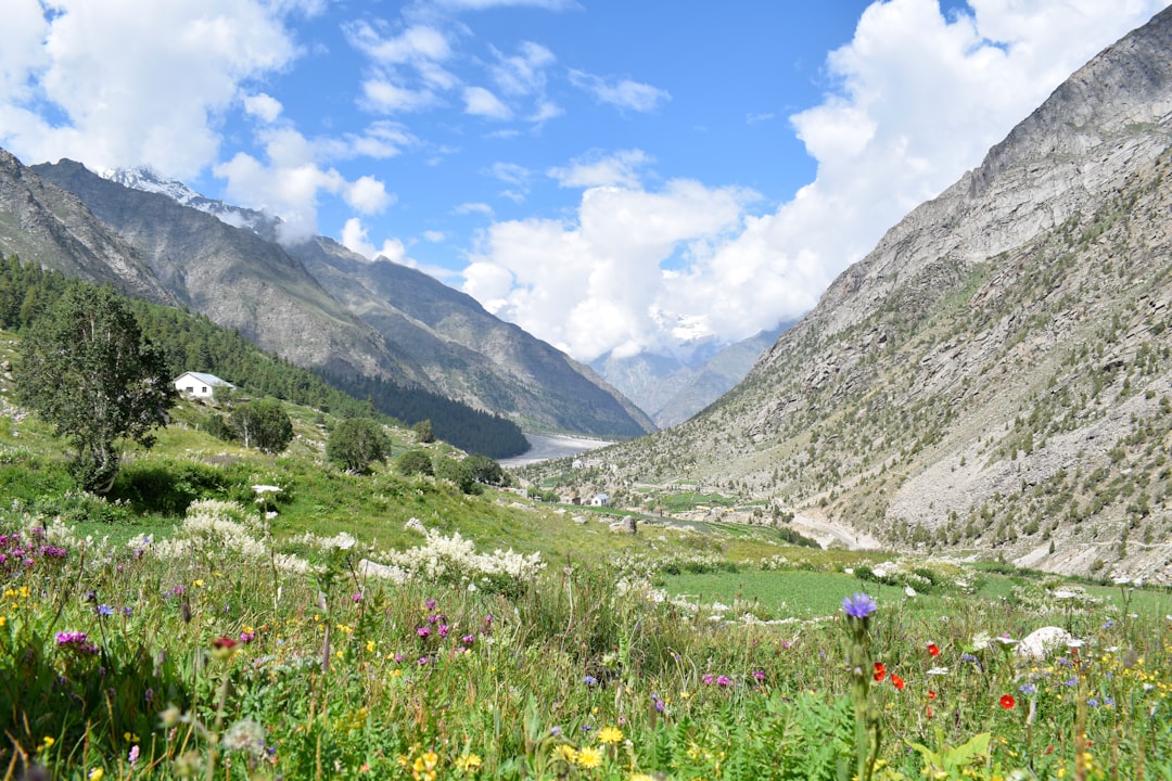 Valle de Flores en Yumthang: flores a gran altura - Yumthang | Secret World Trip Planner